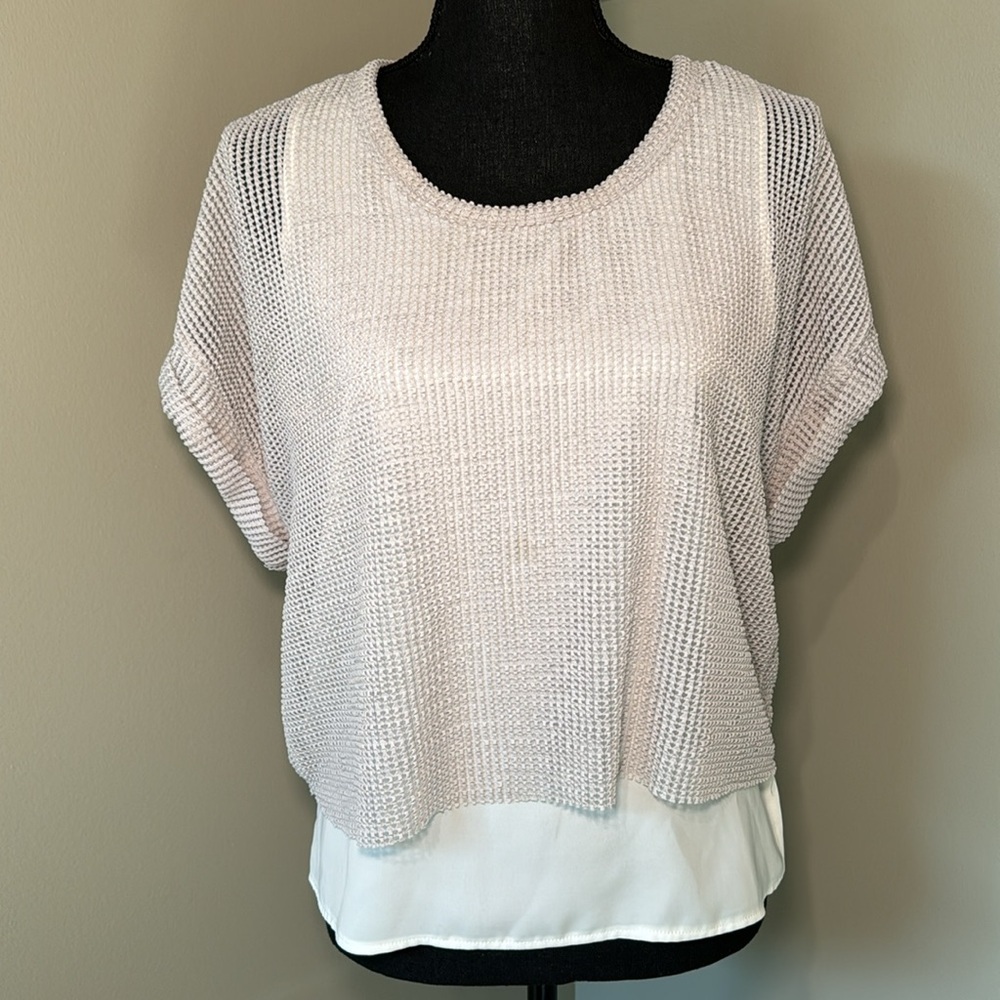 Zara BW Collection Beige Mesh Top‎ Over White Sheer Tank Top Set Medium A30